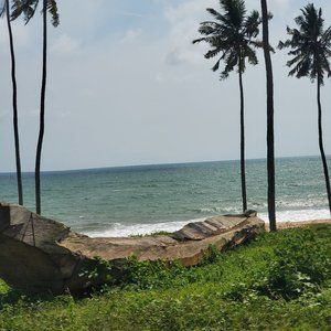 Meet your Posher, Allene